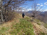 65 Da qui lasciamo i secchi pratoni erbosi per entrare a sx nel bosco di faggeta